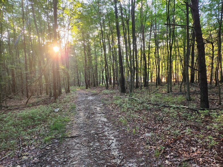 Rustic West Virginia Gathering Retreat - Moorefield, West Virginia