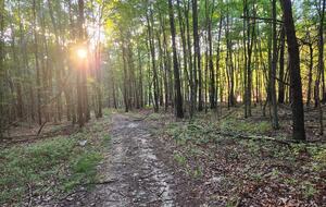 Rustic West Virginia Gathering Retreat - Moorefield, West Virginia