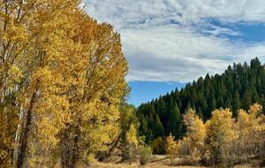 Ketchum Townhome Near Sun Valley Resort - Ketchum, Idaho