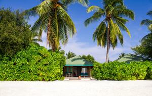 Canareef Island Resort- Sunrise Beach Villa - Addu City, Maldives