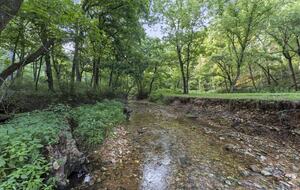 Contemporary Creekside Escape in Northwest Arkansas - Bentonville, Arkansas