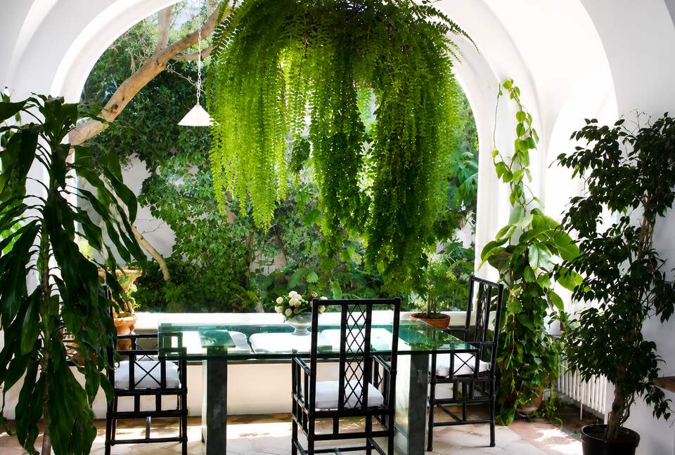 A Capri Sanctuary with Garden Views - Capri, Italy