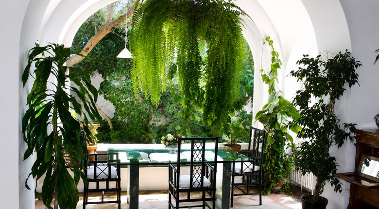 A Capri Sanctuary with Garden Views - Capri, Italy