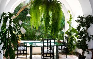 A Capri Sanctuary with Garden Views - Capri, Italy