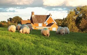 Escape to the country - real working farm on the doorstep.