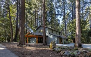 Woodland Escape Near Nevada City - Nevada City, California