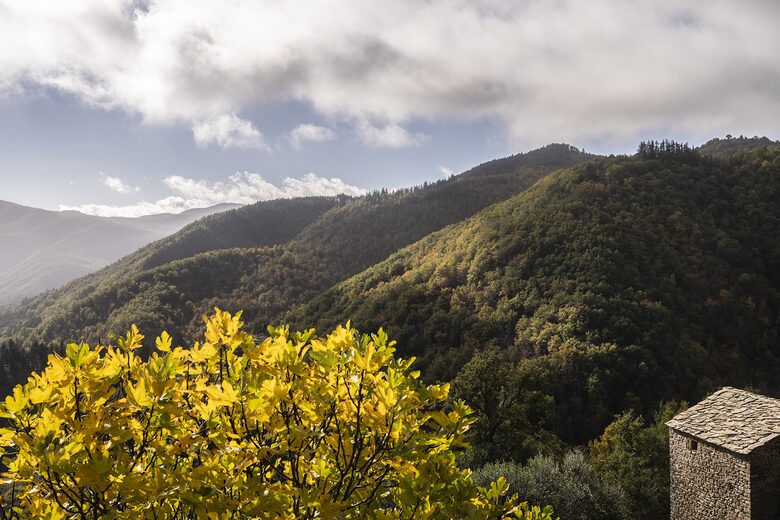 A Timeless Tuscan Escape - Arezzo, Italy