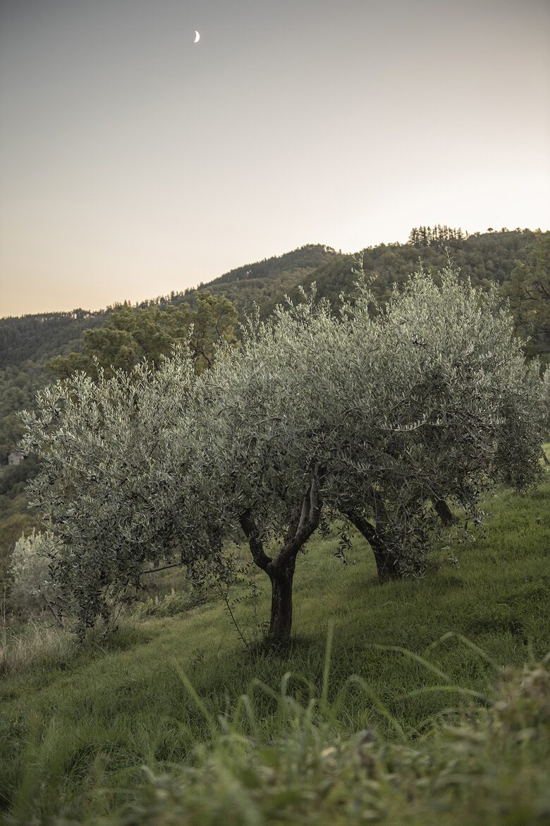 A Timeless Tuscan Escape - Arezzo, Italy