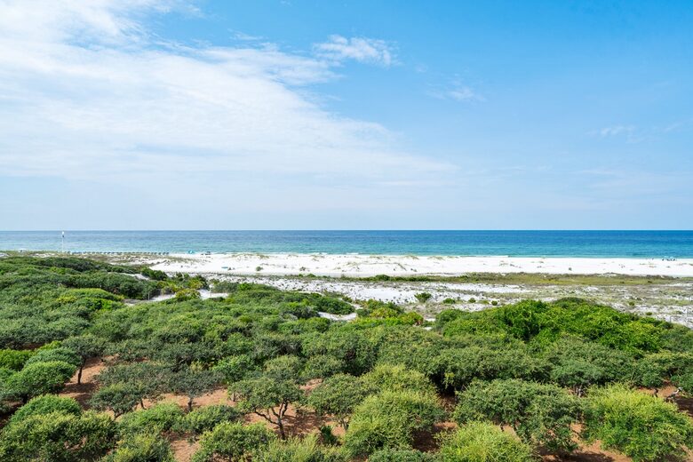 Luxury WaterSound Retreat Above the Dunes - Inlet Beach, Florida