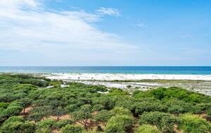 Luxury WaterSound Retreat Above the Dunes - Inlet Beach, Florida