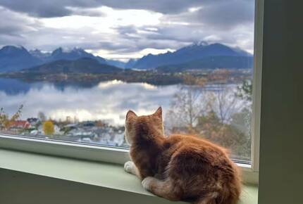 Elegant Woodland Hideaway Overlooking Hatlane Fjord - Ålesund, Norway