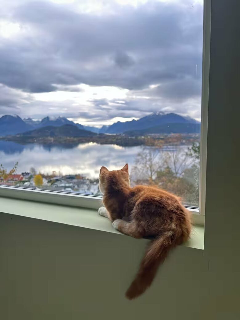 Elegant Woodland Hideaway Overlooking Hatlane Fjord - Ålesund, Norway