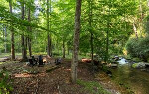 View looking from the screened back porch to the fire pit