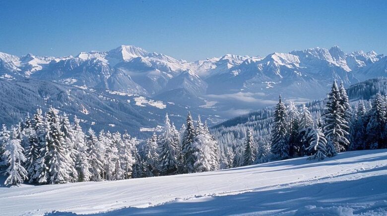 A Dual Chalet Retreat in the Carinthian Highlands - Bad St. Leonhard, Austria