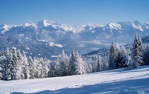 A Dual Chalet Retreat in the Carinthian Highlands - Bad St. Leonhard, Austria