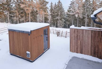 A Dual Chalet Retreat in the Carinthian Highlands - Bad St. Leonhard, Austria