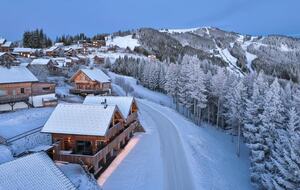 A Dual Chalet Retreat in the Carinthian Highlands - Bad St. Leonhard, Austria
