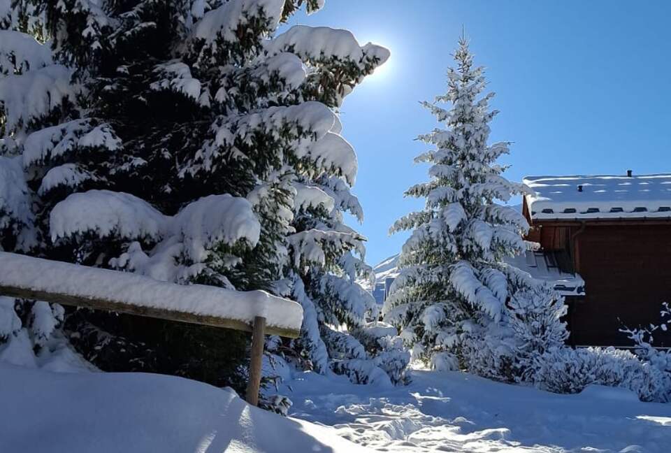A Three Valleys Chalet with Sauna and Views - Moûtiers, France