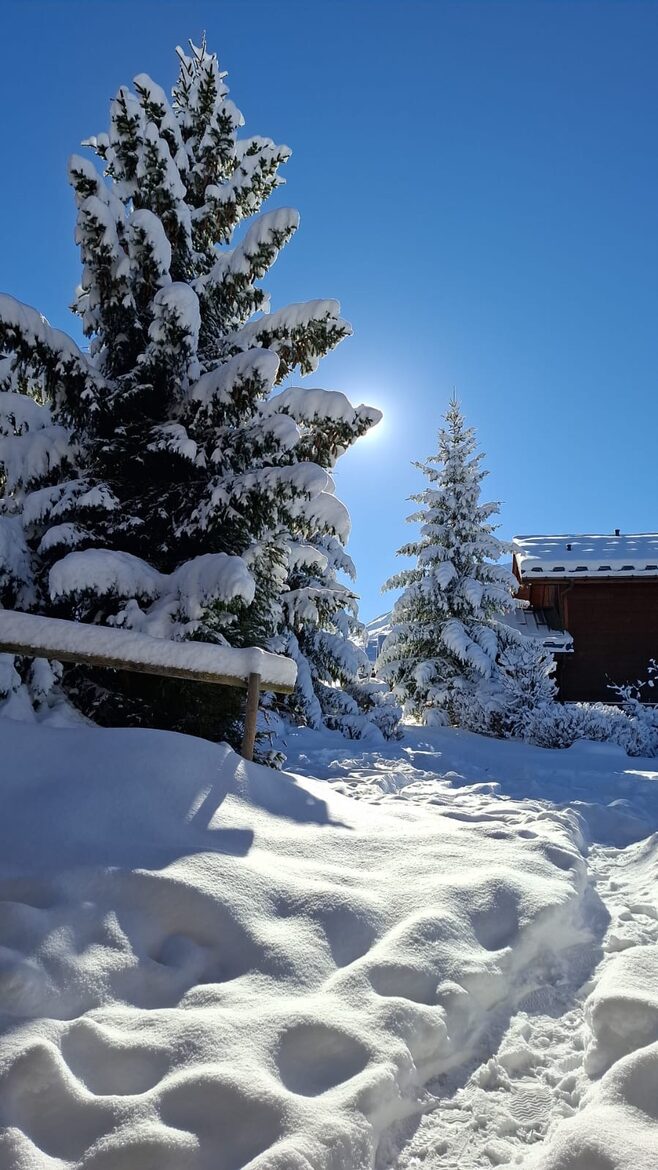 A Three Valleys Chalet with Sauna and Views - Moûtiers, France
