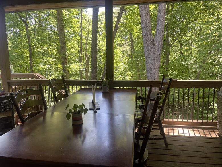 Contemporary Mountain Home Near Downtown Black Mountain - Black Mountain, North Carolina