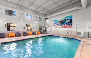 Tidewater Beach Resort - Panama City Beach, Florida