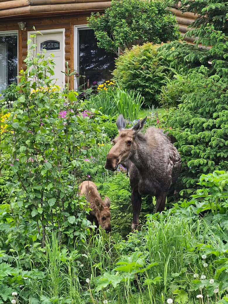 Spacious Alaska View Retreat with Private Studio - Homer, Alaska