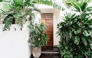Casa La Sultana | A Colonial Masterpiece with Global Soul - Granada, Nicaragua