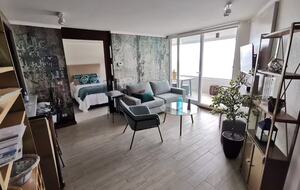 Uninterrupted sea views beachfront apartment - Viña del Mar, Chile