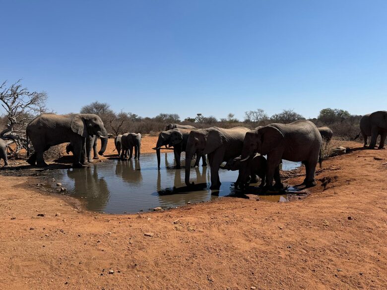 Tapologo River Lodge - Tsetsebjwe, Botswana