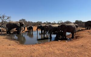 Tapologo River Lodge - Tsetsebjwe, Botswana