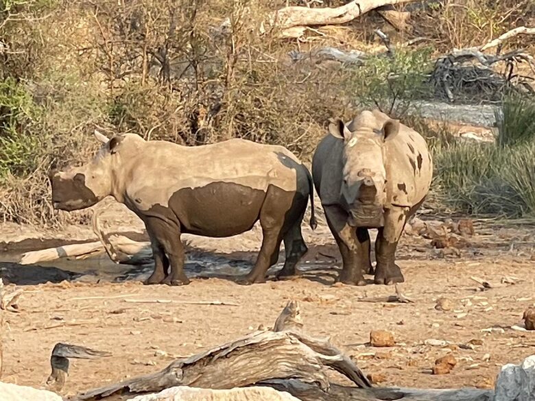 Tapologo River Lodge - Tsetsebjwe, Botswana