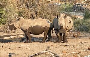 Tapologo River Lodge - Tsetsebjwe, Botswana