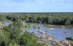 Tapologo River Lodge - Tsetsebjwe, Botswana