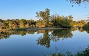 Tapologo River Lodge - Tsetsebjwe, Botswana
