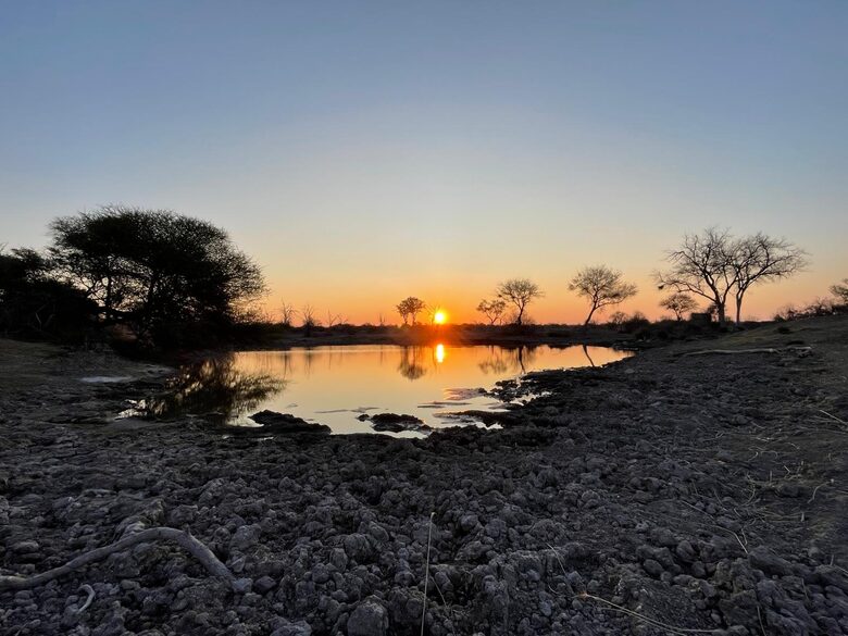 Tapologo River Lodge - Tsetsebjwe, Botswana