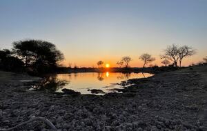 Tapologo River Lodge - Tsetsebjwe, Botswana