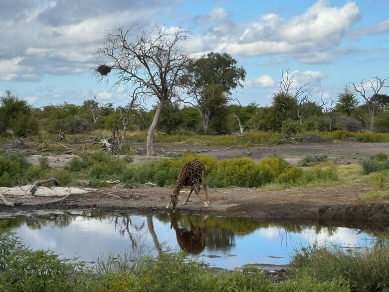 Tapologo River Lodge - Tsetsebjwe, Botswana