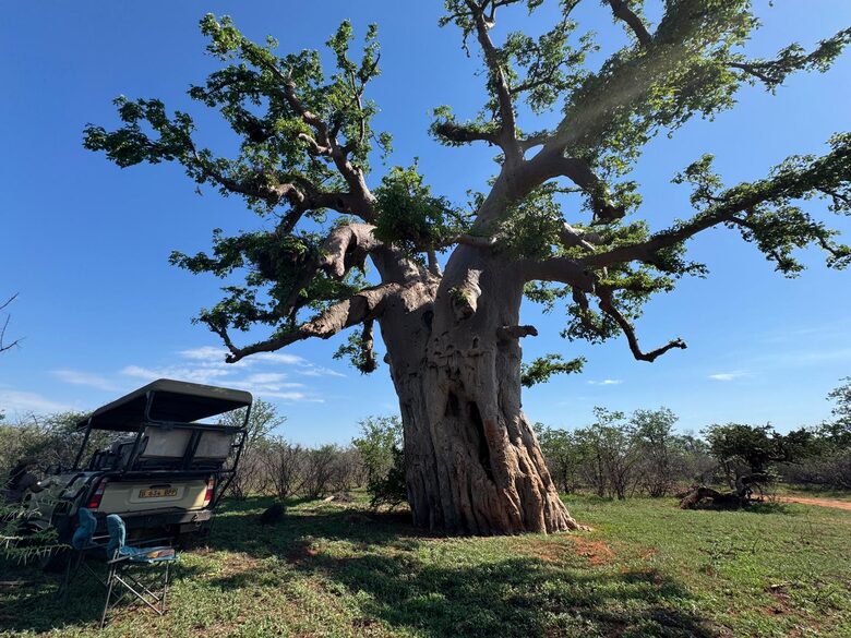 Tapologo River Lodge - Tsetsebjwe, Botswana