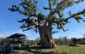 Tapologo River Lodge - Tsetsebjwe, Botswana