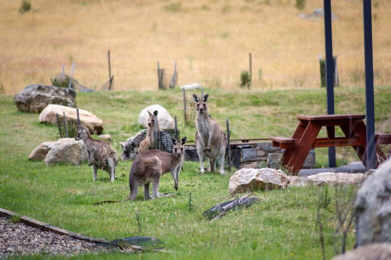 Upscale Alpine Escape at Crackenback Resort - Crackenback, Australia