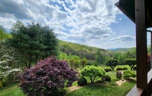 Rolling Pasture & Forest Escape in Franklin - Franklin, North Carolina