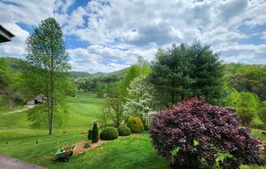 Rolling Pasture & Forest Escape in Franklin - Franklin, North Carolina