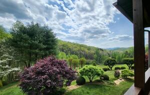 Rolling Pasture & Forest Escape in Franklin - Franklin, North Carolina