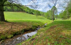 Rolling Pasture & Forest Escape in Franklin - Franklin, North Carolina