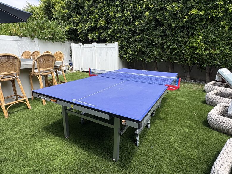 KillerSpin Table Tennis (removable to garage upon request)