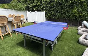 KillerSpin Table Tennis (removable to garage upon request)