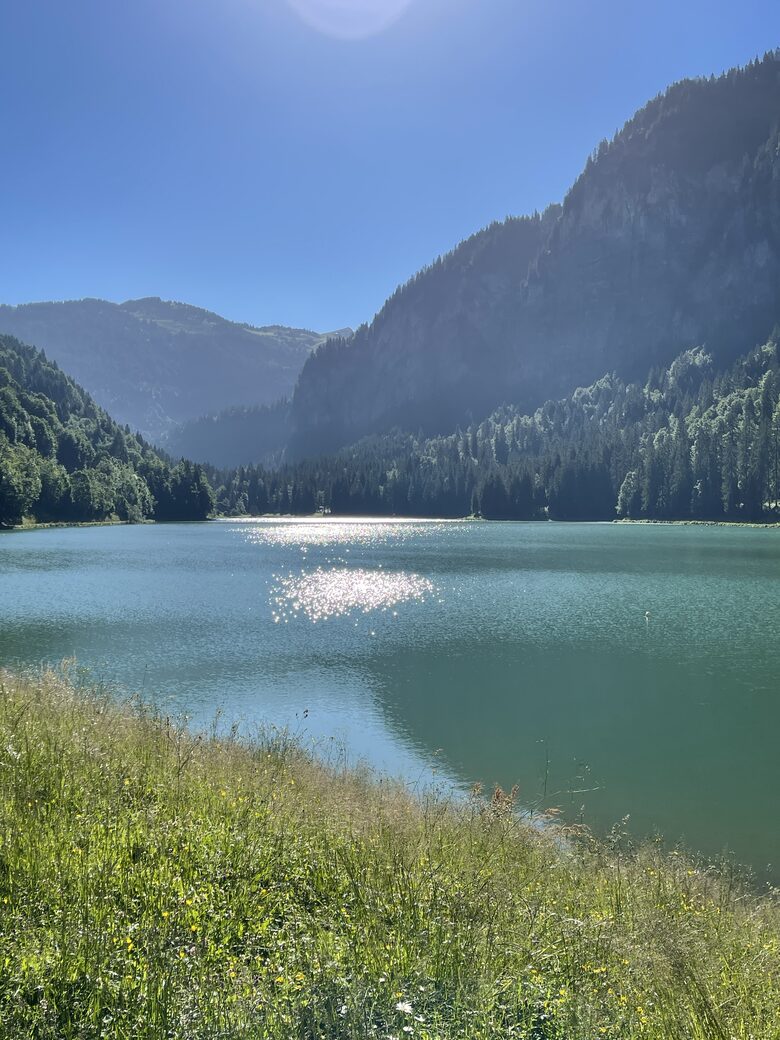 Montriond’s Alpine Mountain Chalet - Montriond, France