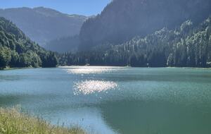 Montriond’s Alpine Mountain Chalet - Montriond, France