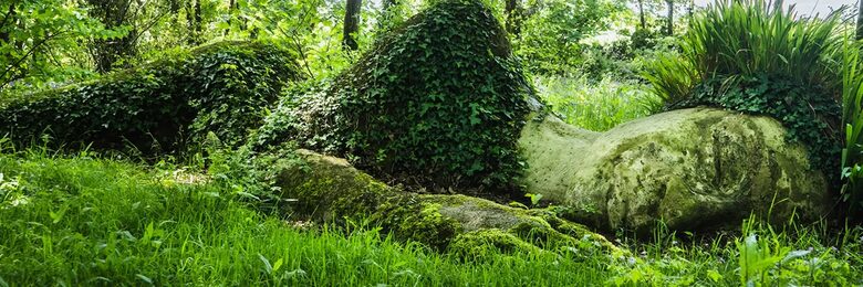 The Lost Gardens of Heligan (Pentewan, St.Austell)