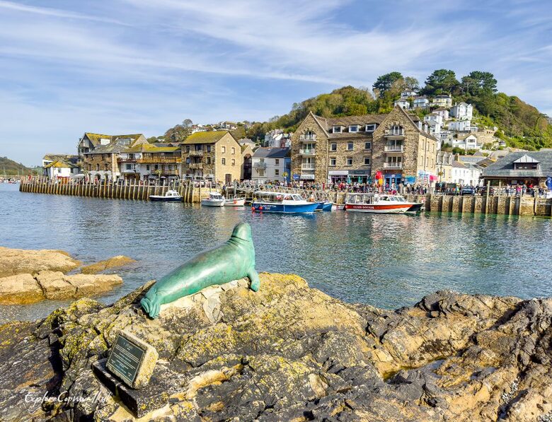The view towards Teglios from West Looe